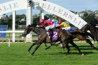 Natuzzi (NZ) takes out the Concorde Handicap. Photo: Trish Dunell
